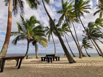 Palm trees on beach against sky