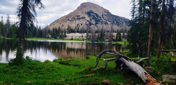 Scenic view of lake by trees against mountains