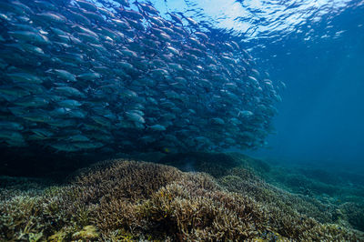 Full frame shot of sea