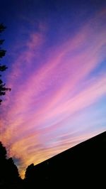 Silhouette of trees at sunset