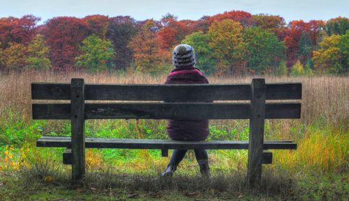 Rear view of man on bench in field during autumn