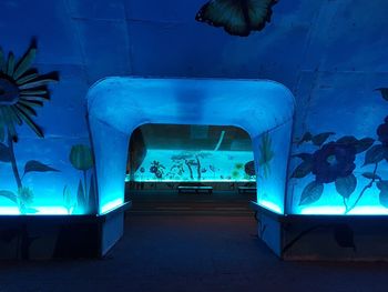 Interior of fish tank at aquarium