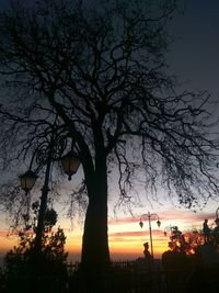 Silhouette tree against sky during sunset