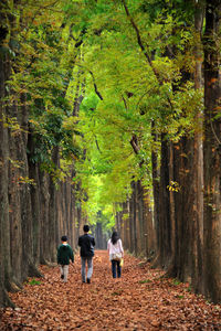 Rear view of parents walking with son amidst trees during autumn