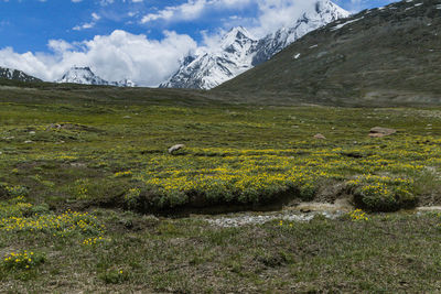 Scenic view of landscape against sky