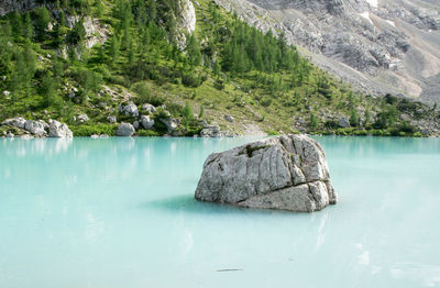 Scenic view of rocks by lake against trees