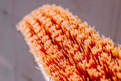 Close-up of orange leaf