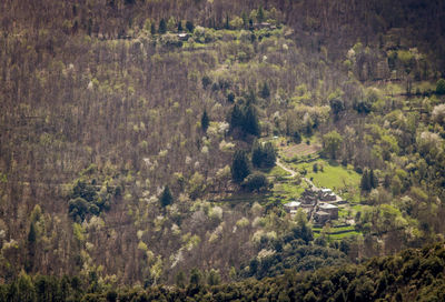 Landscape around sainte-croix-vallée-française in the lozère department, in the cévennes park