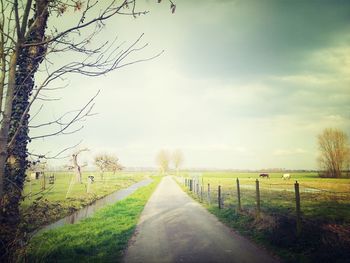 Road passing through field