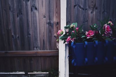 Pink flowers in pot by wooden fence