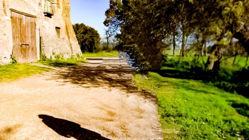 Scenic view of stream amidst trees and buildings against sky