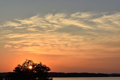 Low angle view of silhouette trees against sky during sunset