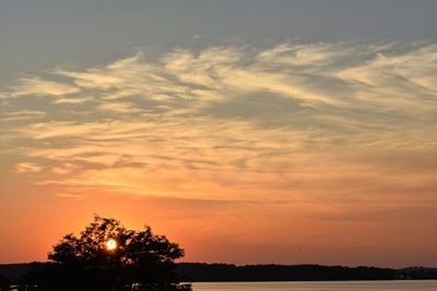 Low angle view of silhouette trees against sky during sunset