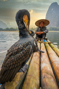 Bird sitting on a boat