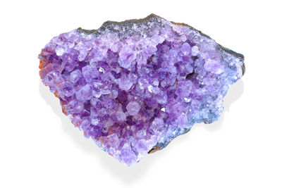 Close-up of purple petals on rock against white background