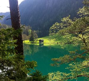 Reflection of trees in lake against sky