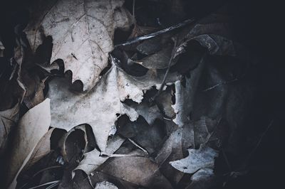 Close-up of weathered wall