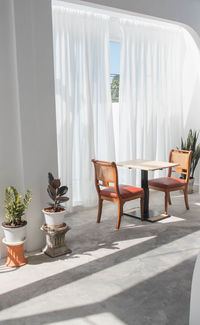 Potted plants on table at home