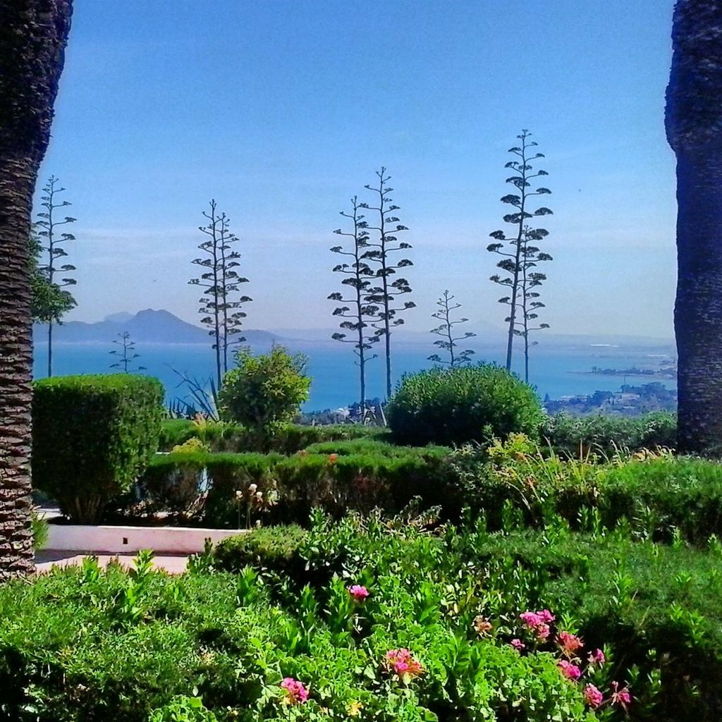 Sidi bou Said