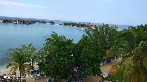 Scenic view of palm trees by sea against sky