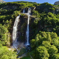 Scenic view of waterfall in forest