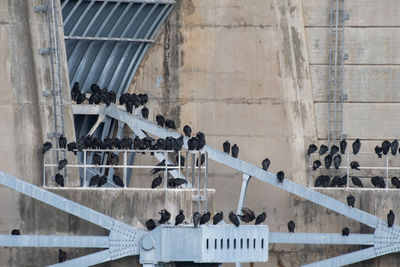 People on bridge