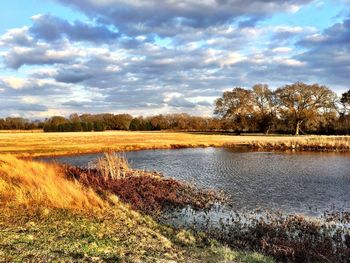 Scenic view of lake by field against sky