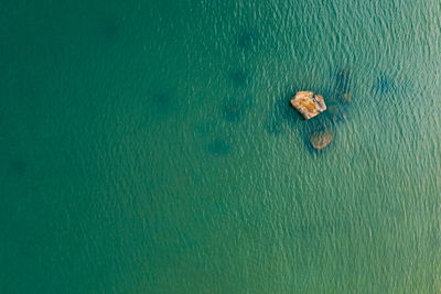 High angle view of leaf on sea shore