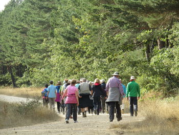 Rear view of people walking along trees