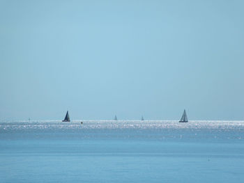 Sailboats sailing in sea against clear blue sky
