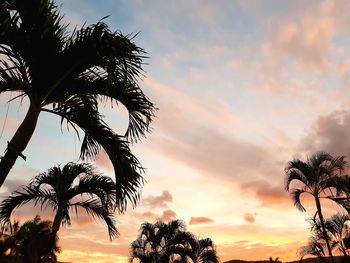 Low angle view of silhouette tree against sky at sunset