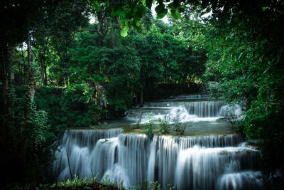 Scenic view of waterfall in forest