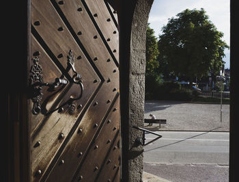 Close-up of door and tree