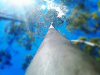 Low angle view of blue sky