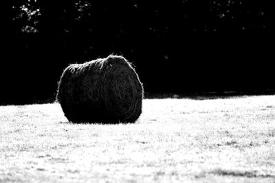 Close-up of hay bales on field