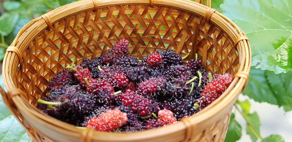 High angle view of strawberries in basket