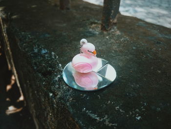 High angle view of stuffed toy on rock