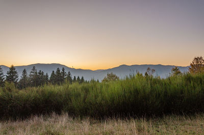 Scenic view of field against sky during sunset