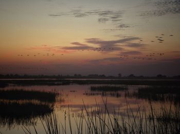Scenic view of calm lake during sunset