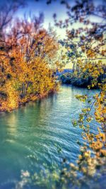 Close-up of autumn tree by lake