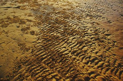 Full frame shot of sand on beach