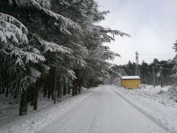 Road amidst trees against sky