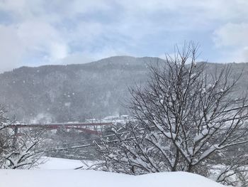 Bare tree on snowcapped mountain against sky