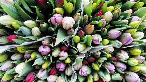 Full frame shot of multi colored flowers for sale in market