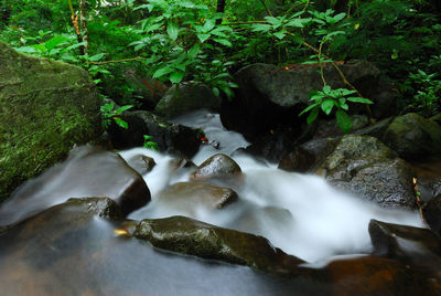 Stream flowing through rocks in forest