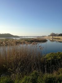 Scenic view of lake against clear sky