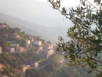 View of town against mountain range