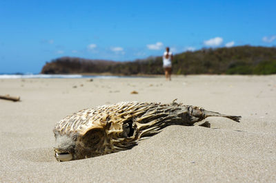 Man with umbrella on shore at beach against sky