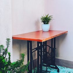 Potted plant on table against wall