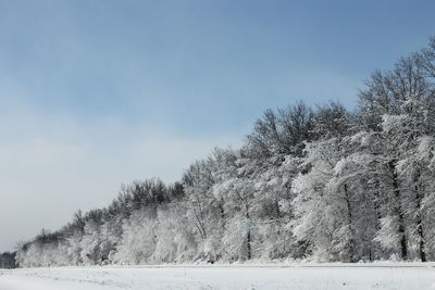 Scenic view of snow covered landscape